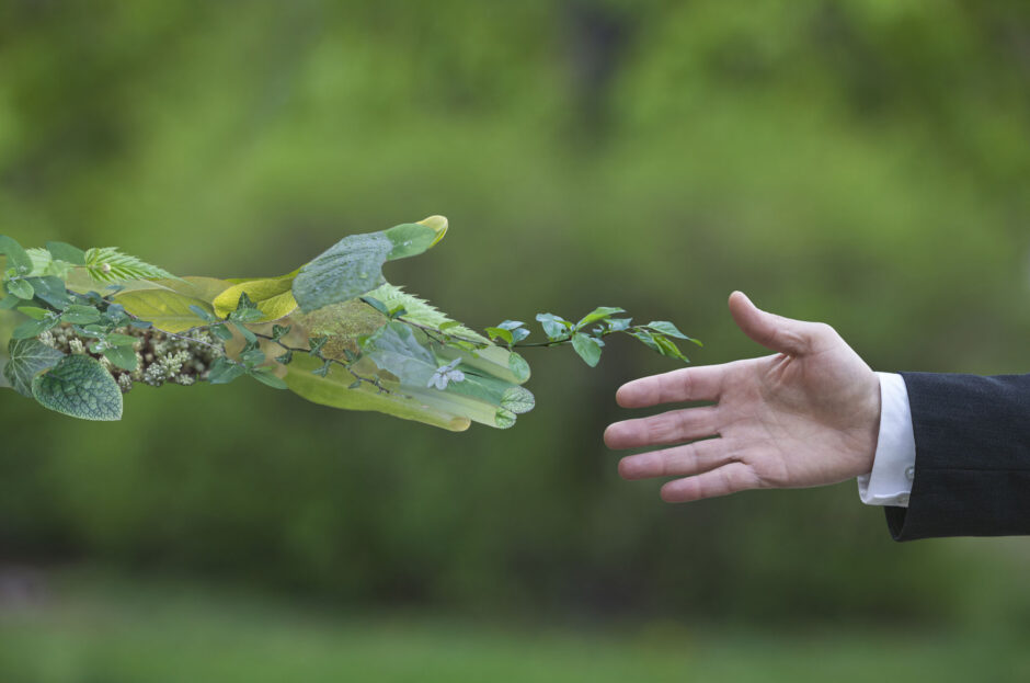 Medio Ambiente